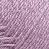 703- Violeta purpura